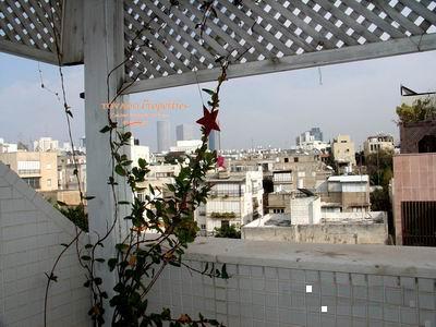 The roof balcony