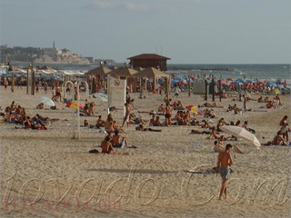 Near The Beach &Tel Aviv Hotels