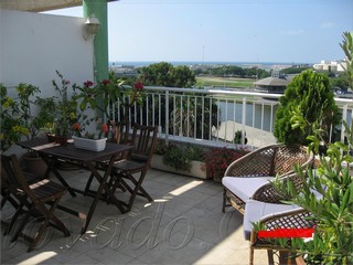 The Roof terrace 