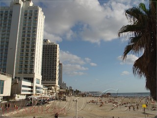 Tel Aviv the best city in the world ever 🍇